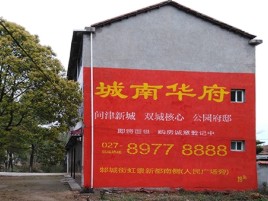 望江百分之90的人都不了解的农村墙体广告