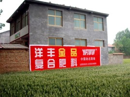 望江如何让墙体广告展现最大化效果