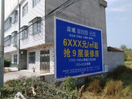 望江墙体广告质量分析