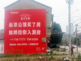 望江墙体广告在乡镇、农村市场的媒体优势