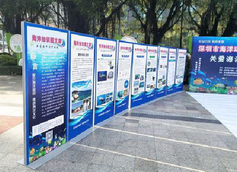 望江KT板的种类和知识。